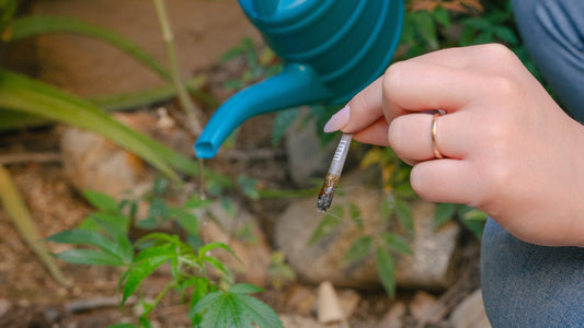 LITTO's Guide To Indica, Sativa, And Hybrid Strains