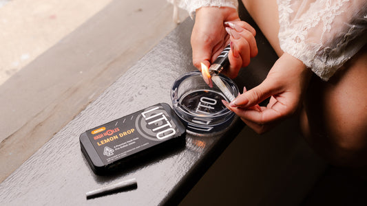 Hash vs. Kief: What's The Difference?