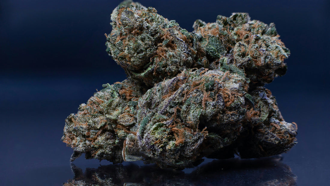 King Louis XIII Strain Guide: History & Effects | LITTO