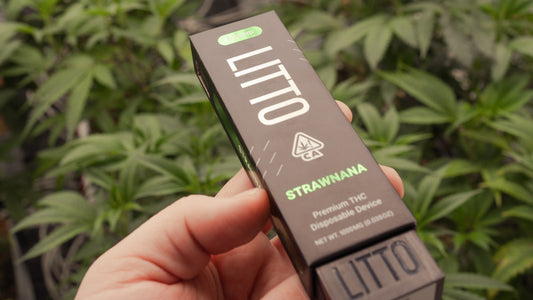 How Does Cannabis Work? How It Affects The Body