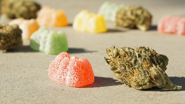 Cannabis Derived Terpenes (CDTs) vs Botanically Derived Terpenes (BDTs): What’s The Difference